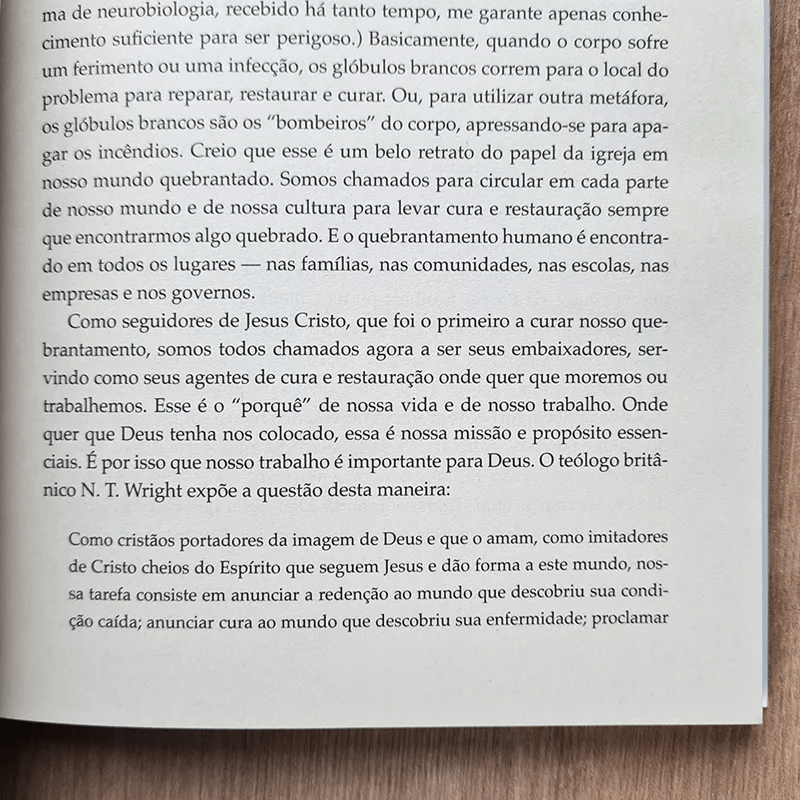 A LIDERANÇA QUE DEUS VALORIZA: 17 VALORES QUE MOLDAM O SUCESSO