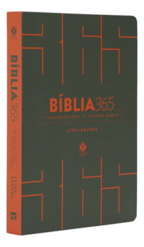 BIBLIA 365 LETRA GRANDE - CINZA