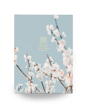 BÍBLIA DE ESTUDO PARA TODA MULHER – CAPA AZUL