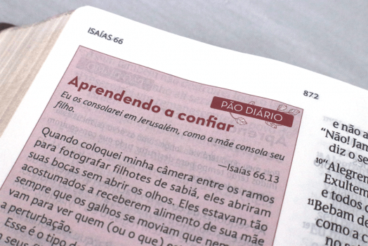 BÍBLIA DE ESTUDOS DA MULHER – LETRA GRANDE – BORDÔ