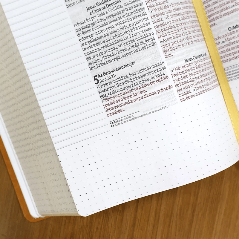 BÍBLIA ANOTE CASTANHO | NVI | LETRA GRANDE | COM ESPAÇO PARA ANOTAÇÕES