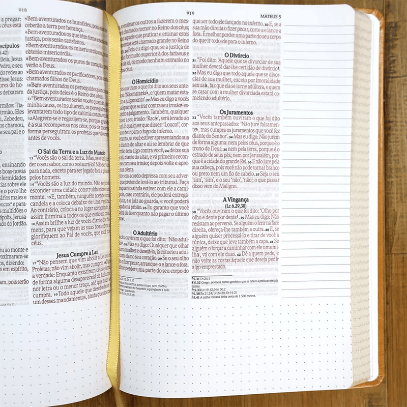 BÍBLIA ANOTE CASTANHO | NVI | LETRA GRANDE | COM ESPAÇO PARA ANOTAÇÕES