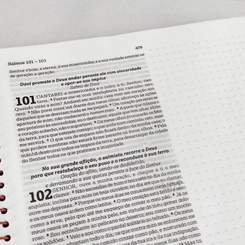 BÍBLIA ANOTE ESPIRAL GALÁXIA | NVI | LETRA NORMAL | COM ESPAÇO PARA ANOTAÇÕES
