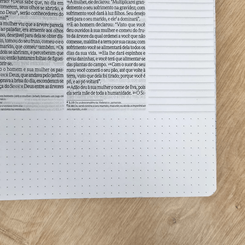 BÍBLIA ANOTE ESPIRAL PLUMA LEVE | NVI | LETRA GRANDE | COM ESPAÇO PARA ANOTAÇÕES