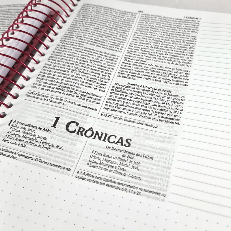 BÍBLIA ANOTE ESPIRAL VEREDA | NVI | LETRA NORMAL | COM ESPAÇO PARA ANOTAÇÕES