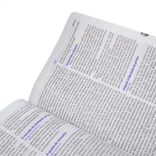 BÍBLIA DO PREGADOR PENTECOSTAL - NAA - ÍNDICE - AZUL NOBRE - C/ ÍNDICE