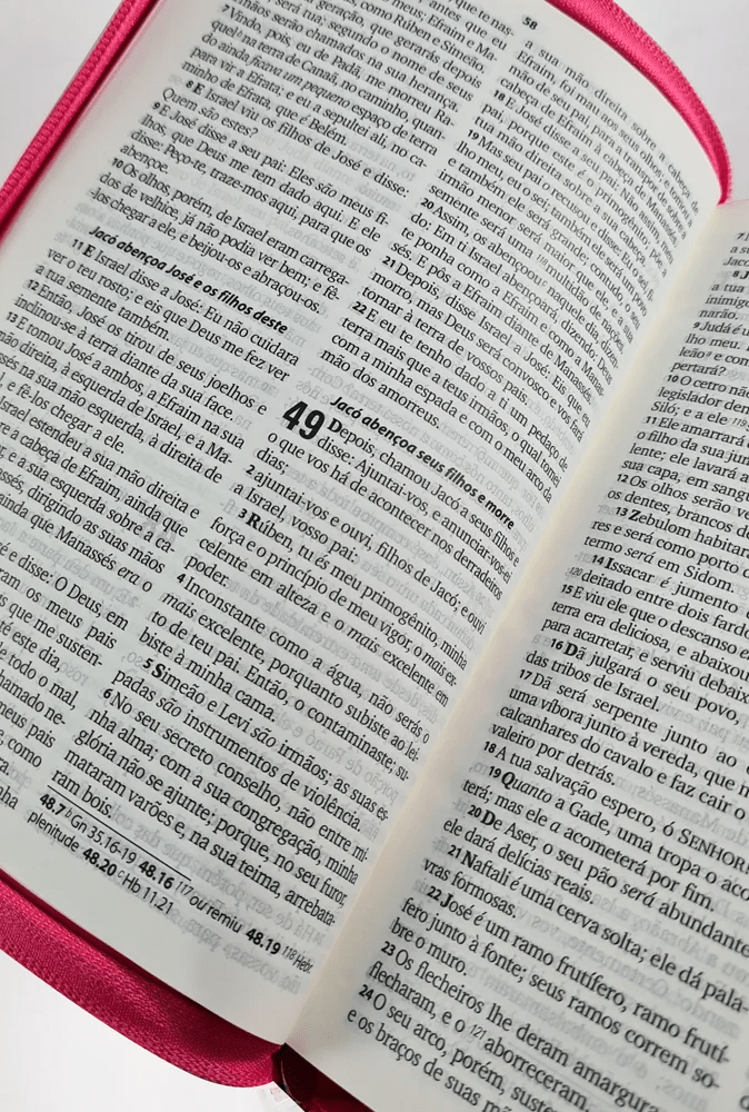 BÍBLIA SAGRADA - ARC - LETRA GRANDE - CAPA LUXO CRUZ PINK C ZIPER