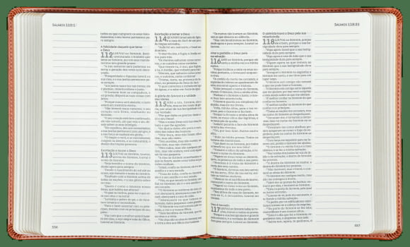 BÍBLIA ACF COM ESPAÇO PARA ANOTAÇÕES, COURO-SOFT MARROM, LEITURA PERFEITA