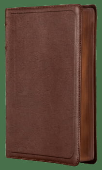 BÍBLIA ACF COM REFERÊNCIAS CRUZADAS E PALAVRAS DE JESUS EM AZUL, COURO-SOFT MOGNO, LETRA GRANDE, LEITURA PERFEITA