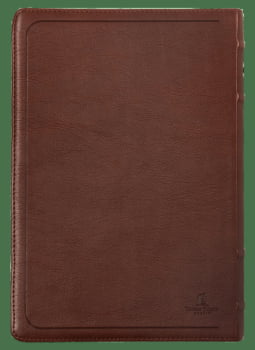 BÍBLIA ACF COM REFERÊNCIAS CRUZADAS E PALAVRAS DE JESUS EM AZUL, COURO-SOFT MOGNO, LETRA GRANDE, LEITURA PERFEITA