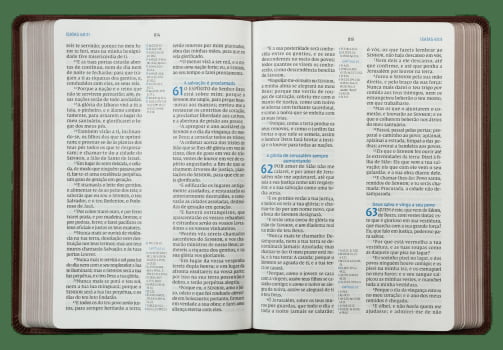 BÍBLIA ACF COM REFERÊNCIAS CRUZADAS E PALAVRAS DE JESUS EM AZUL, COURO-SOFT MOGNO, LETRA GRANDE, LEITURA PERFEITA