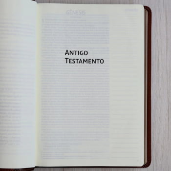 Bíblia NVI com Espaço para Anotações, Letra Grande, Capa luxo dois tons de marrom, Leitura Perfeita