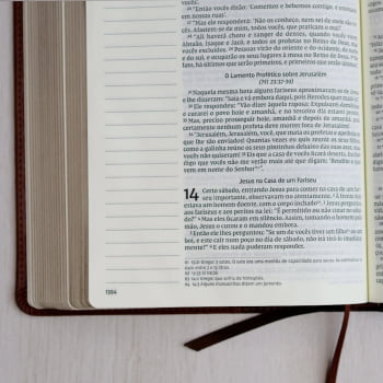 Bíblia NVI com Espaço para Anotações, Letra Grande, Capa luxo dois tons de marrom, Leitura Perfeita