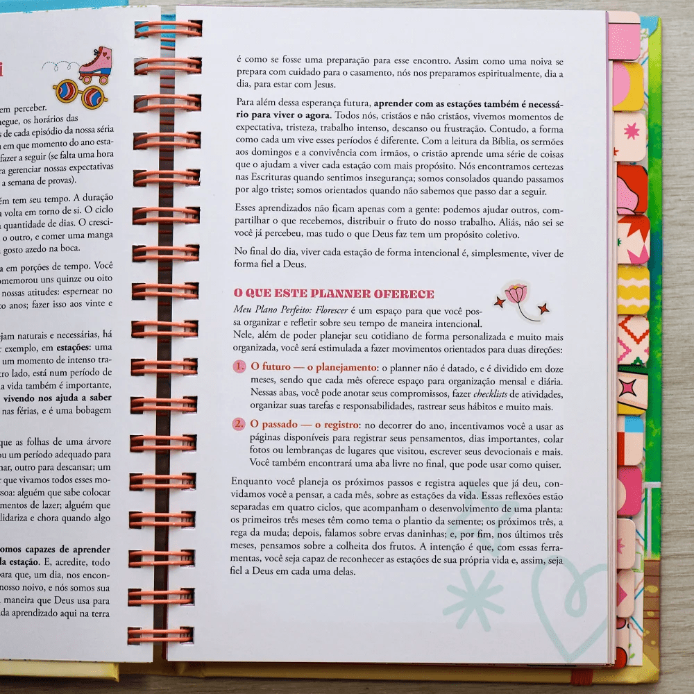 MEU PLANO PERFEITO: FLORESCER, PLANNER ANUAL NÃO DATADO PARA ADOLESCENTES COM CAPA ALMOFADADA E ESPIRAL OCULTO, CAPA DORAMA