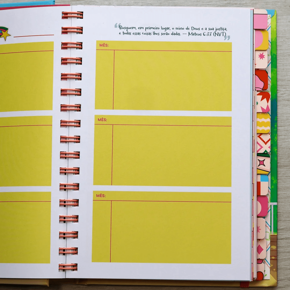 MEU PLANO PERFEITO: FLORESCER, PLANNER ANUAL NÃO DATADO PARA ADOLESCENTES COM CAPA ALMOFADADA E ESPIRAL OCULTO, CAPA DORAMA