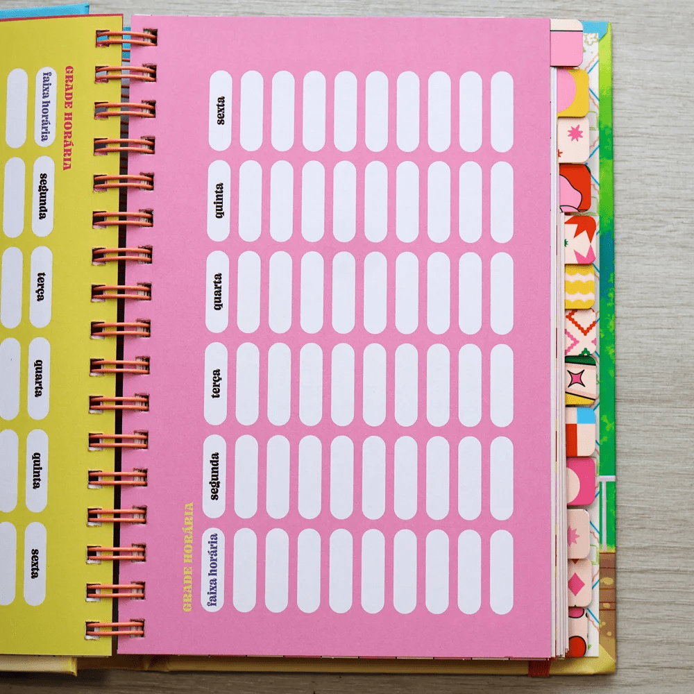 MEU PLANO PERFEITO: FLORESCER, PLANNER ANUAL NÃO DATADO PARA ADOLESCENTES COM CAPA ALMOFADADA E ESPIRAL OCULTO, CAPA DORAMA