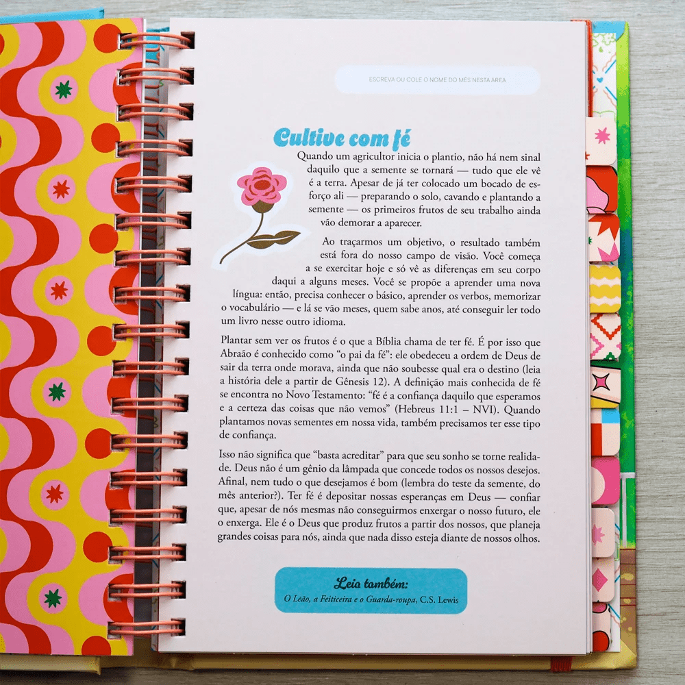 MEU PLANO PERFEITO: FLORESCER, PLANNER ANUAL NÃO DATADO PARA ADOLESCENTES COM CAPA ALMOFADADA E ESPIRAL OCULTO, CAPA DORAMA