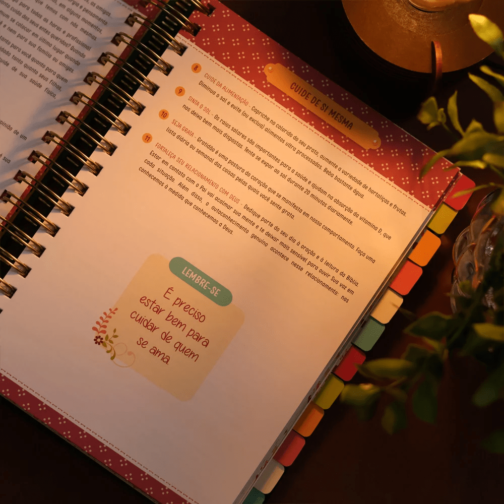 MEU PLANO PERFEITO, PLANNER SEM DATA, CAPA VERDE TECIDO SOBRE CAPA DURA | PLANNER 2026