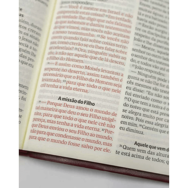 BÍBLIA LETRA GIGANTE NAA - MARROM
