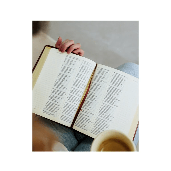 BÍBLIA MULHERES PARA UM TEMPO COMO ESTE - NAA 2 COLUNA