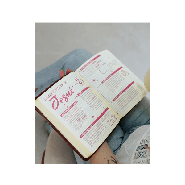 BÍBLIA MULHERES PARA UM TEMPO COMO ESTE - NAA 2 COLUNA