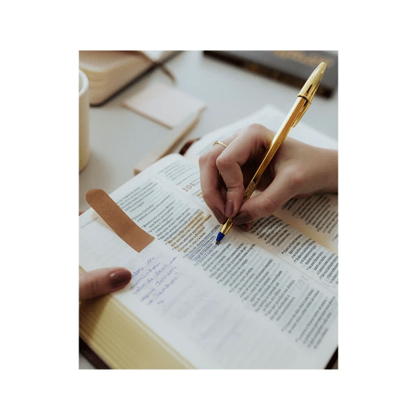 BÍBLIA MULHERES PARA UM TEMPO COMO ESTE - NAA 2 COLUNA