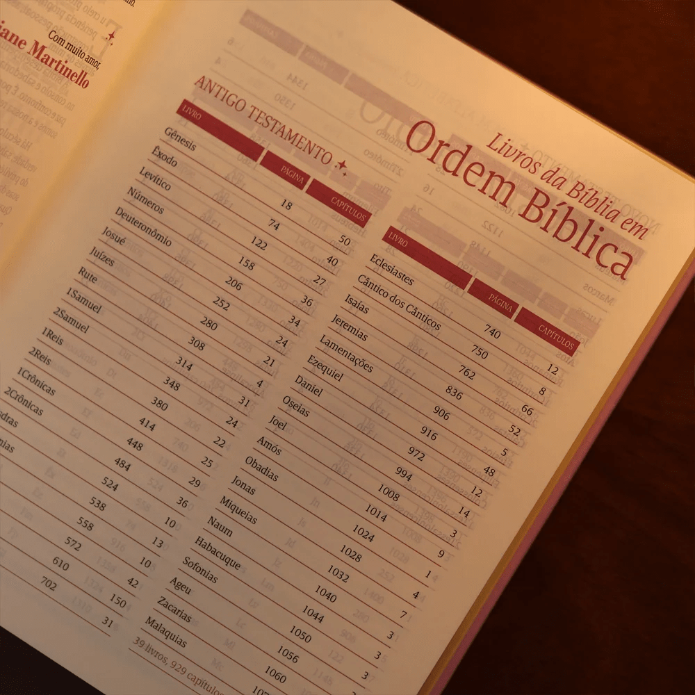 BÍBLIA MULHERES UM TEMPO COMO ESTE - VIVIANE MARTINELLO - NVT - ESPAÇO PARA ANOTAÇÕES - CAPA DURA LILÁS