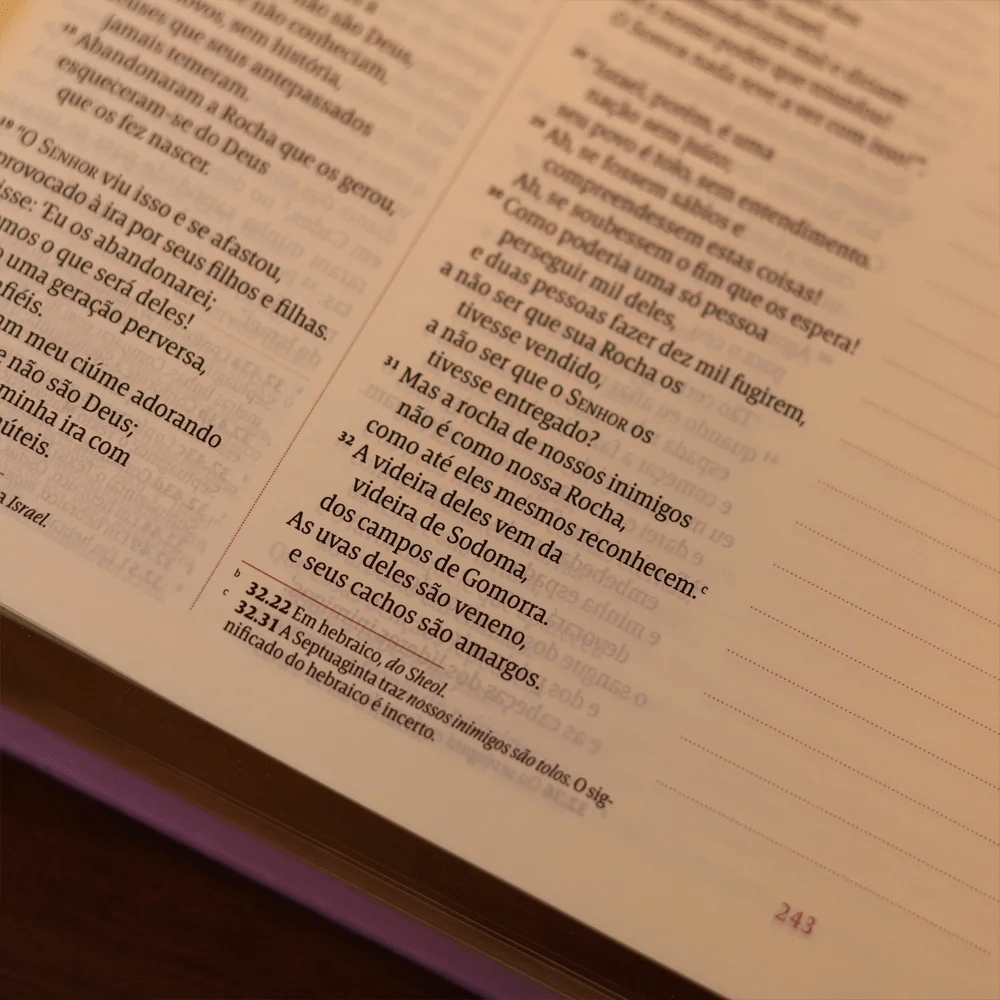 BÍBLIA MULHERES UM TEMPO COMO ESTE - VIVIANE MARTINELLO - NVT - ESPAÇO PARA ANOTAÇÕES - CAPA DURA LILÁS