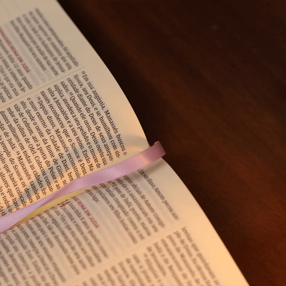 BÍBLIA MULHERES UM TEMPO COMO ESTE - VIVIANE MARTINELLO - NVT - ESPAÇO PARA ANOTAÇÕES - CAPA DURA LILÁS