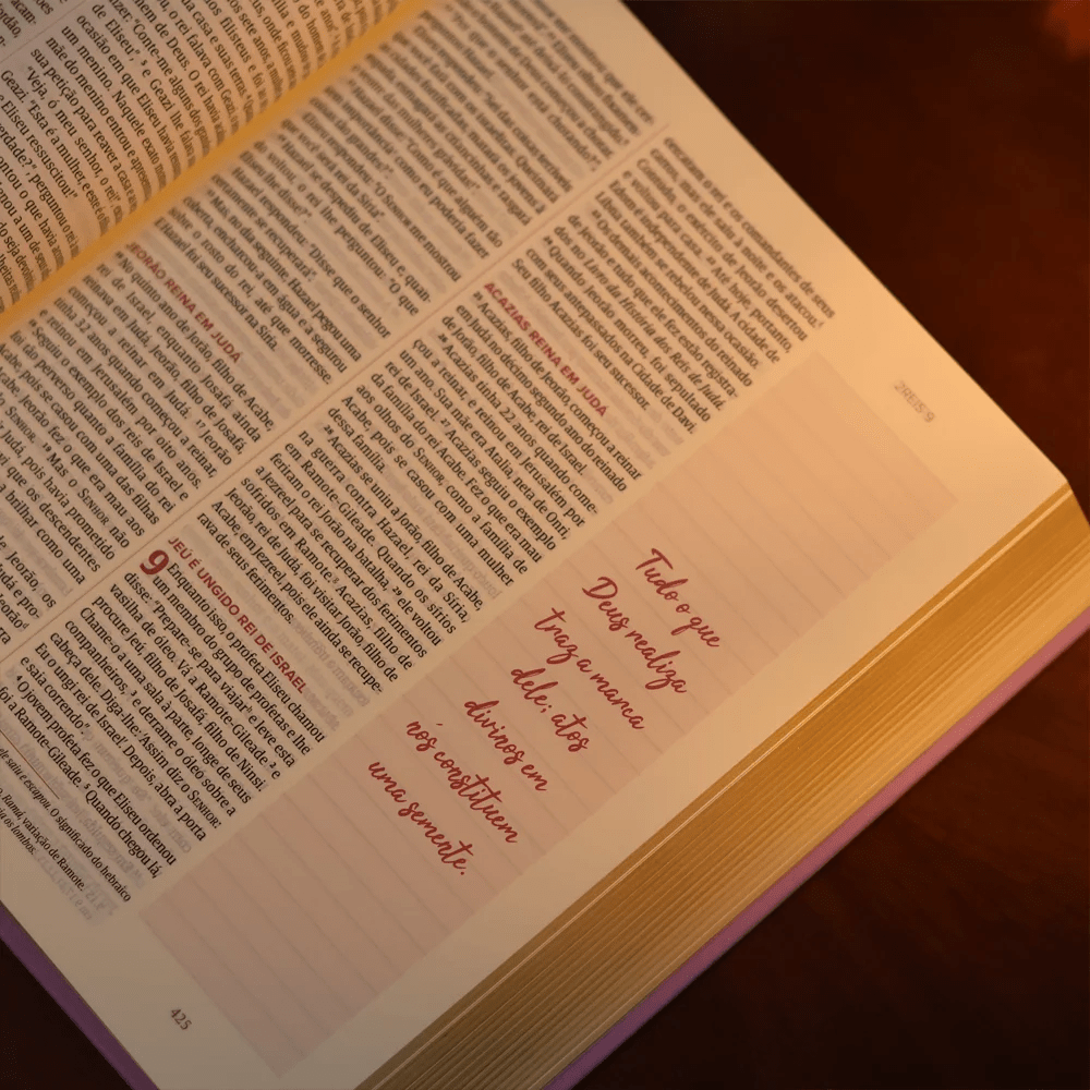 BÍBLIA MULHERES UM TEMPO COMO ESTE - VIVIANE MARTINELLO - NVT - ESPAÇO PARA ANOTAÇÕES - CAPA DURA LILÁS