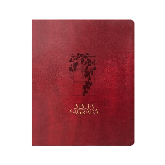 BÍBLIA MULHERES VIDEIRA - NVT - 1 COLUNA