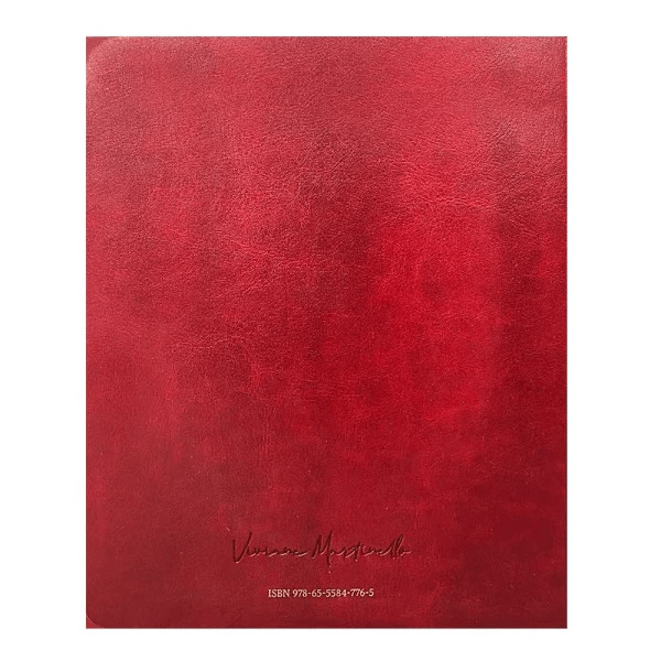 BÍBLIA MULHERES VIDEIRA - NVT - 1 COLUNA