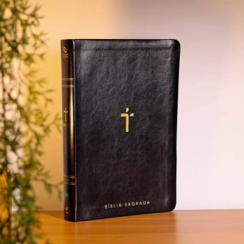 BIBLIA SAGRADA MAPAS MENTAIS NAA LETRA GIGANTE PRETO