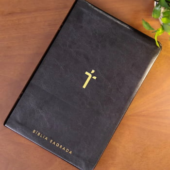 BIBLIA SAGRADA MAPAS MENTAIS NAA LETRA GIGANTE PRETO