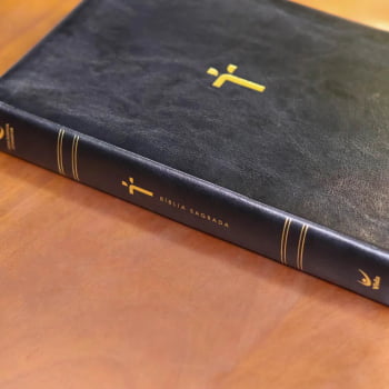 BIBLIA SAGRADA MAPAS MENTAIS NAA LETRA GIGANTE PRETO