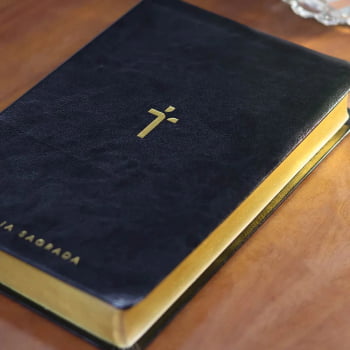 BIBLIA SAGRADA MAPAS MENTAIS NAA LETRA GIGANTE PRETO
