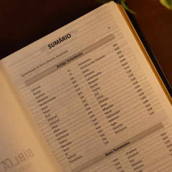 BIBLIA SAGRADA MAPAS MENTAIS NAA LETRA GIGANTE PRETO