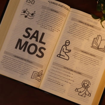 BIBLIA SAGRADA MAPAS MENTAIS NAA LETRA GIGANTE PRETO
