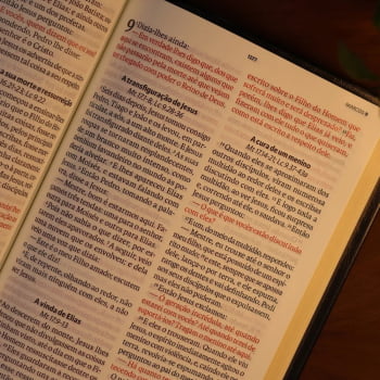 BIBLIA SAGRADA MAPAS MENTAIS NAA LETRA GIGANTE PRETO