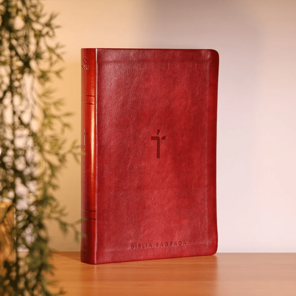 BIBLIA SAGRADA MAPAS MENTAIS NAA LETRA GIGANTE VINHO