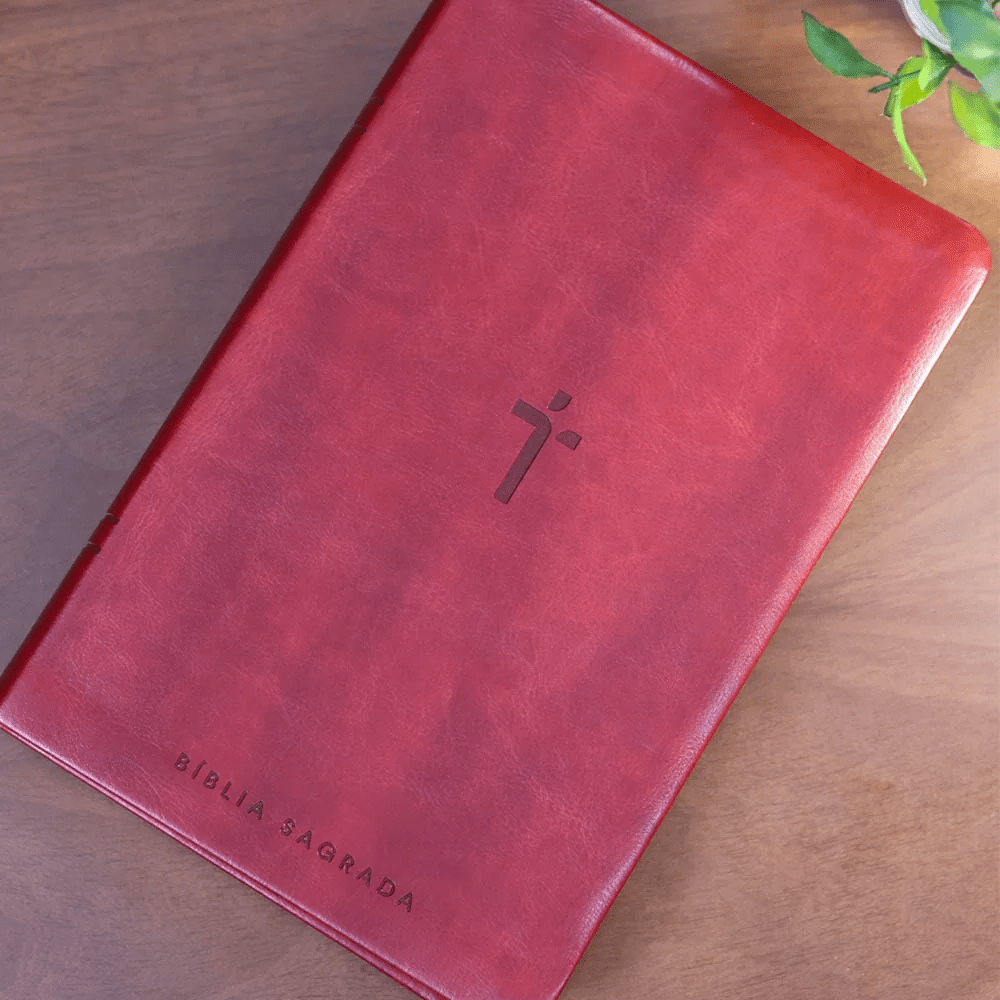 BIBLIA SAGRADA MAPAS MENTAIS NAA LETRA GIGANTE VINHO