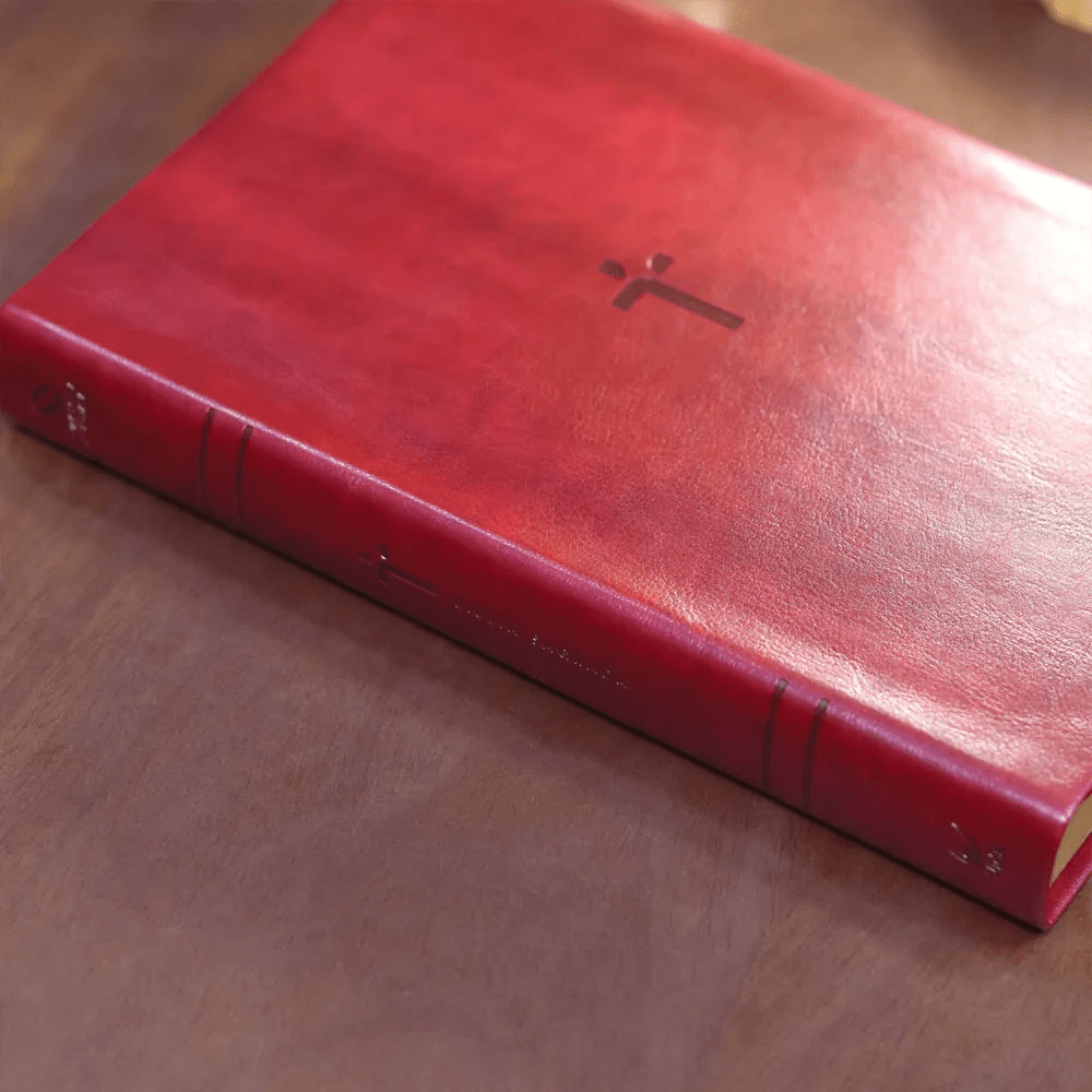 BIBLIA SAGRADA MAPAS MENTAIS NAA LETRA GIGANTE VINHO