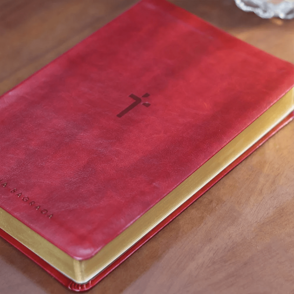 BIBLIA SAGRADA MAPAS MENTAIS NAA LETRA GIGANTE VINHO