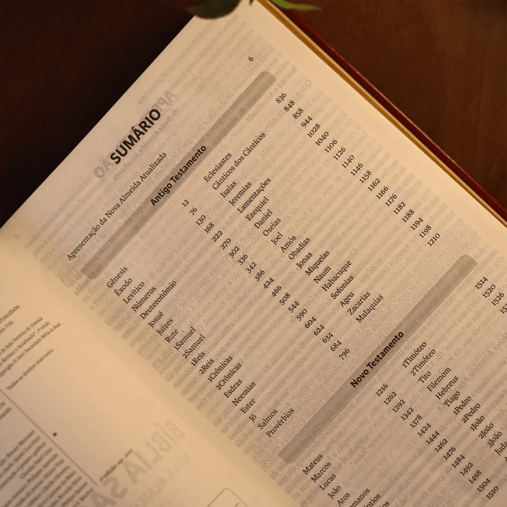 BIBLIA SAGRADA MAPAS MENTAIS NAA LETRA GIGANTE VINHO