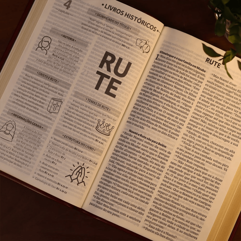 BIBLIA SAGRADA MAPAS MENTAIS NAA LETRA GIGANTE VINHO