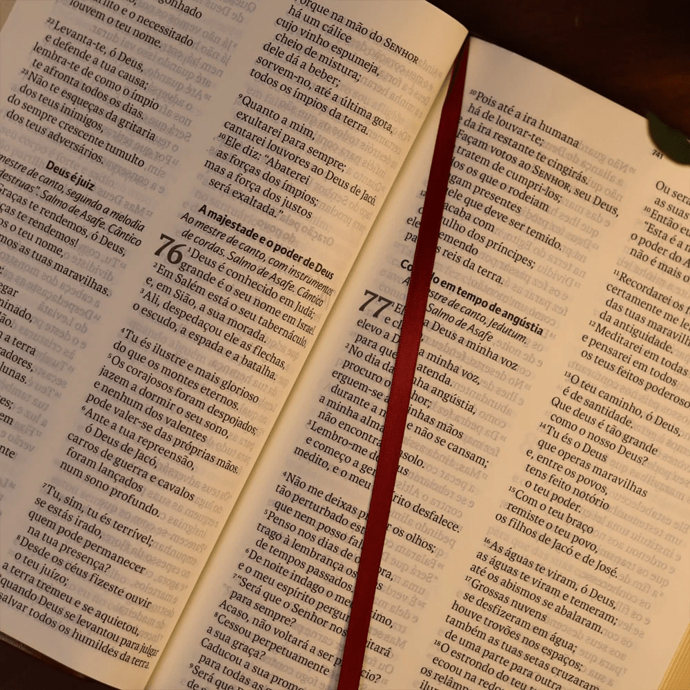 BIBLIA SAGRADA MAPAS MENTAIS NAA LETRA GIGANTE VINHO