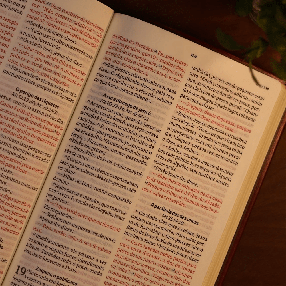 BIBLIA SAGRADA MAPAS MENTAIS NAA LETRA GIGANTE VINHO
