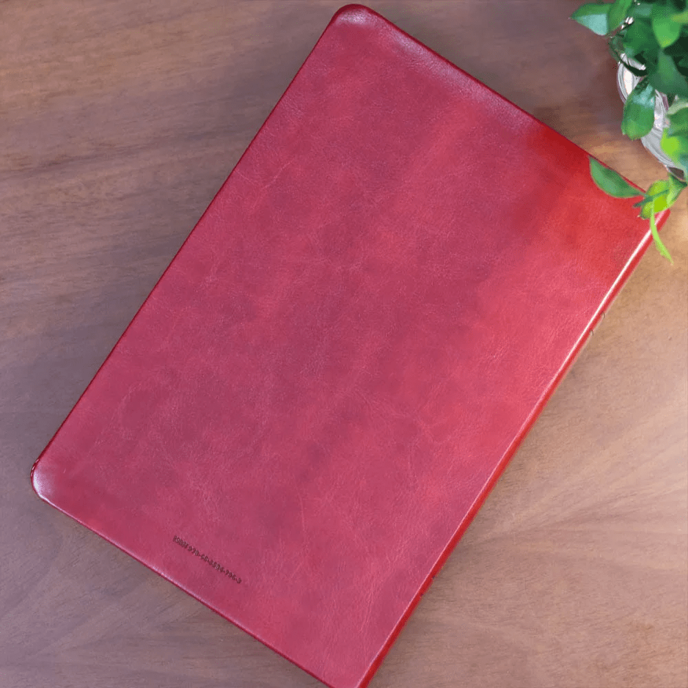 BIBLIA SAGRADA MAPAS MENTAIS NAA LETRA GIGANTE VINHO