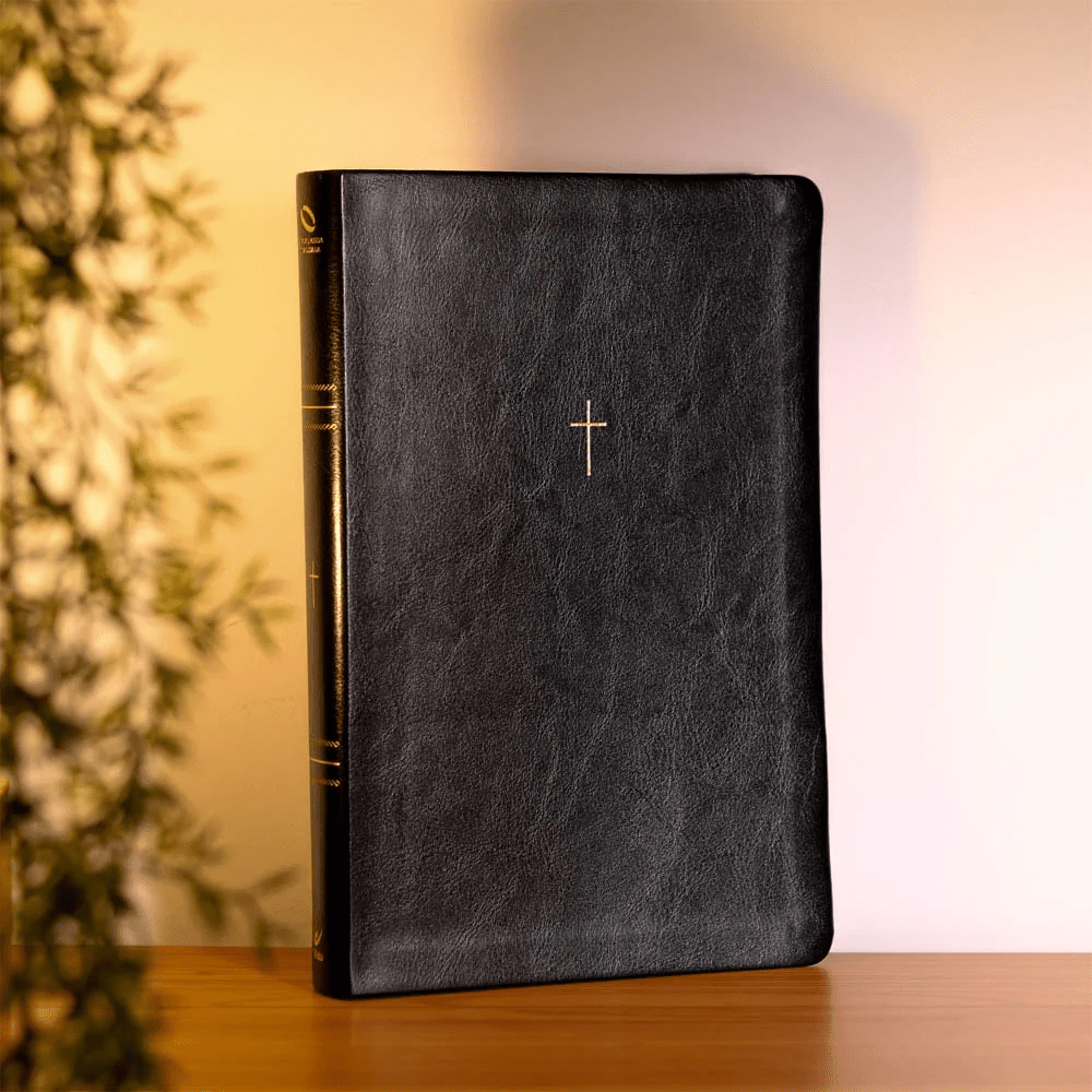 BIBLIA SAGRADA MAPAS MENTAIS NAA LETRA GRANDE PRETO