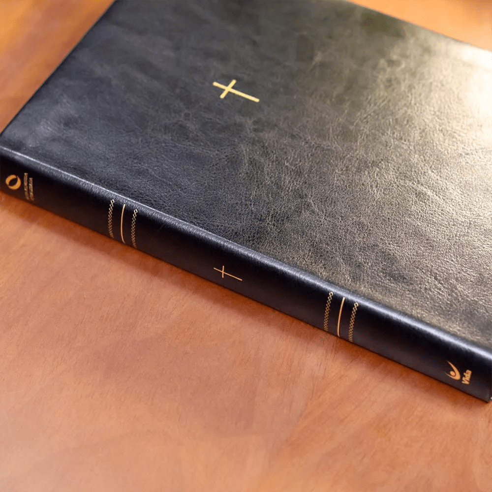 BIBLIA SAGRADA MAPAS MENTAIS NAA LETRA GRANDE PRETO